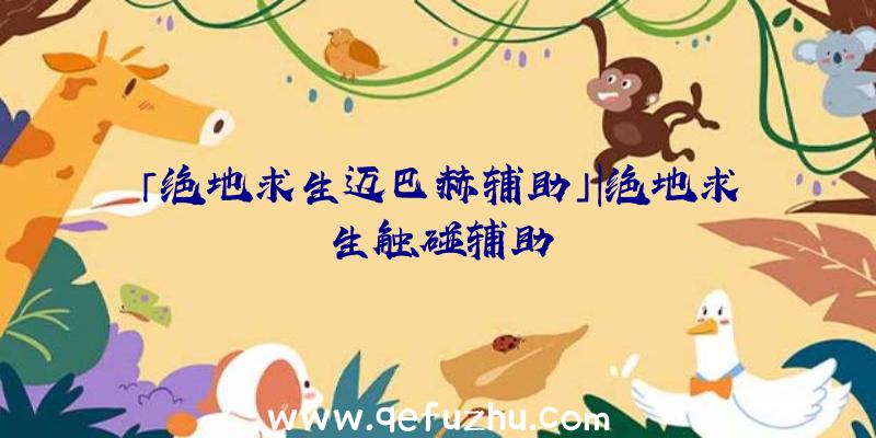 「绝地求生迈巴赫辅助」|绝地求生触碰辅助